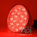 ABI True Red 26 Watt PAR38 Flowering Lamp