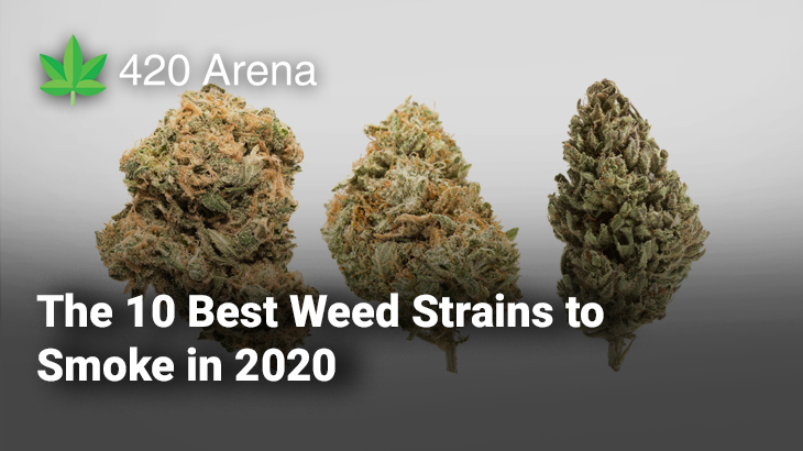 Best Weed Strains