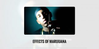 Effects of Marijuana