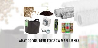 What do you Need to Grow Marijuana