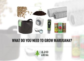 What do you Need to Grow Marijuana
