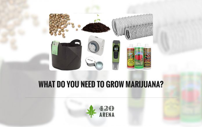 What do you Need to Grow Marijuana