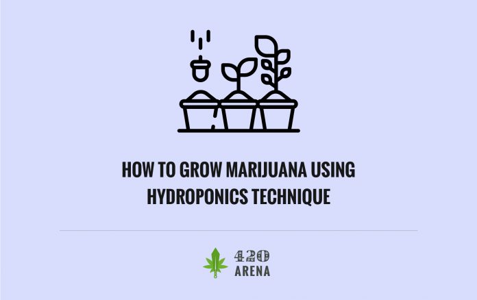 Grow Marijuana Plants Using Hydroponics Technique