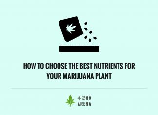 How To Choose the Best Nutrients for your Marijuana Plant