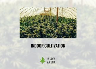 Indoor Cultivation of Marijuana