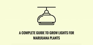 Guide To Grow Lights For Marijuana Plants