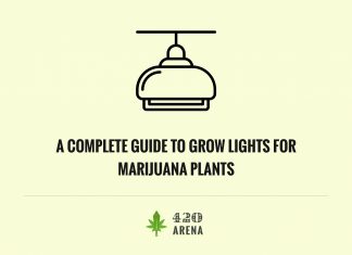 Guide To Grow Lights For Marijuana Plants