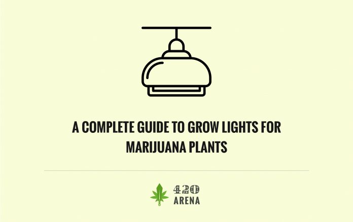 Guide To Grow Lights For Marijuana Plants