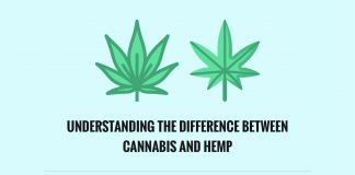 Understanding the Difference Between Cannabis and Hemp