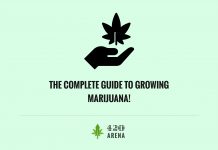 Guide to Growing Marijuana Indoors
