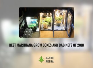 Best Marijuana Grow Boxes and Cabinets