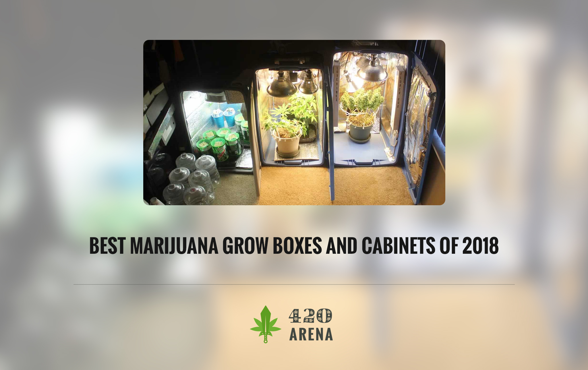 Best Marijuana Grow Boxes And Cabinets Of 2020 Reviews