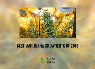 Best Marijuana Grow Tents