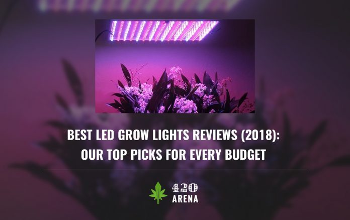 Best LED Grow Lights