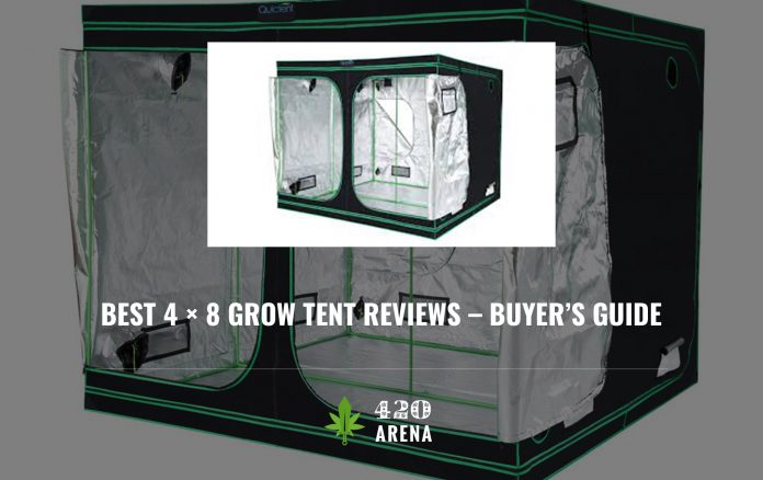 Best 4x8 Grow Tent Reviews