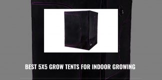 Best 5x5 Grow Tents