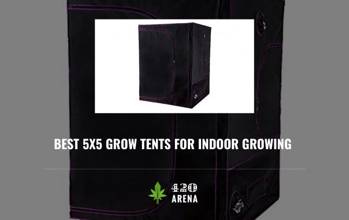 Best 5x5 Grow Tents