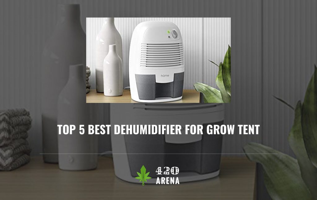 Dehumidifier для волос что это