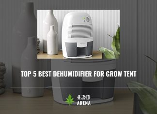 Best Dehumidifier for Grow Tent