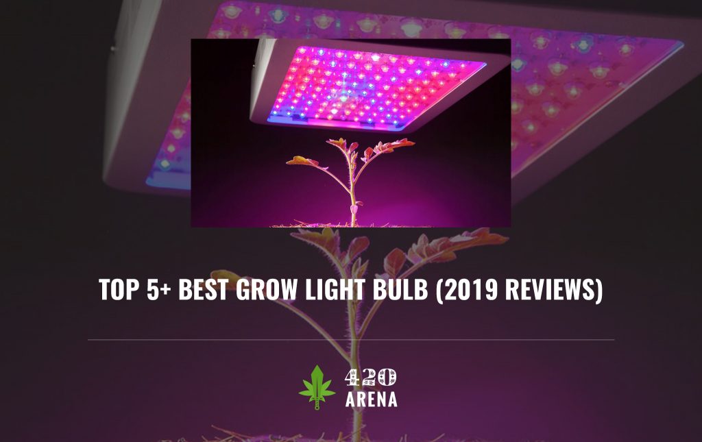 Top 5+ Best Grow Light Bulb (2020) Reviews & Buyer's Guide