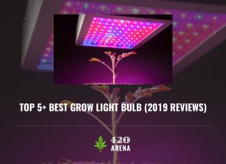 Best Grow Light Bulb