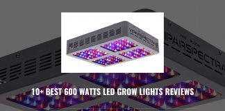 10+ Best 600 Watts LED Grow Lights Reviews