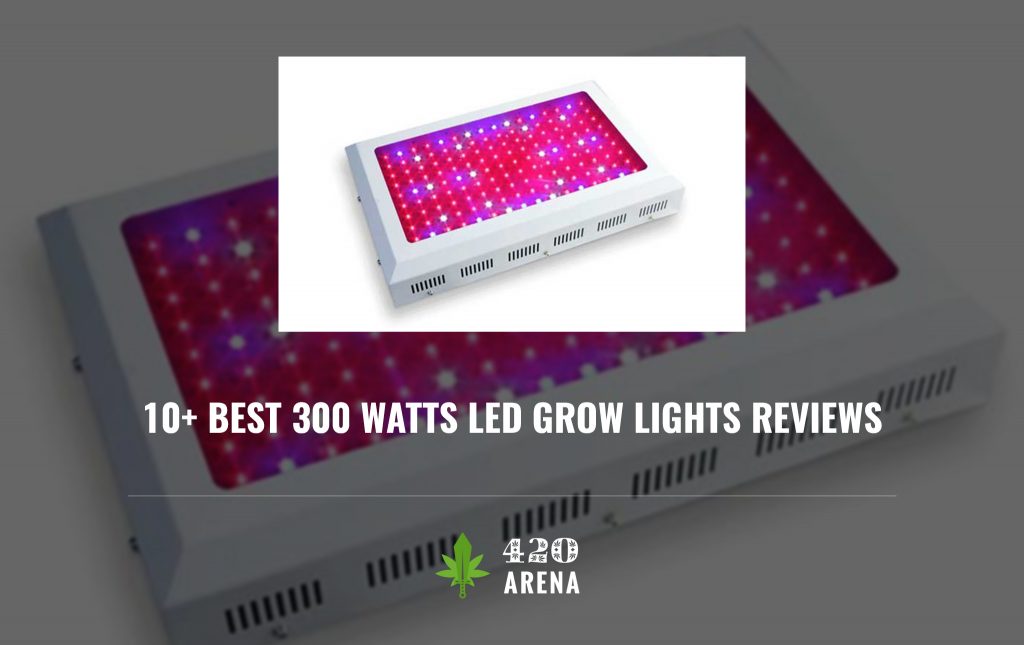 Top 10+ Best 300 Watts LED Grow Lights of 2019 - Reviews & Buyer's Guide