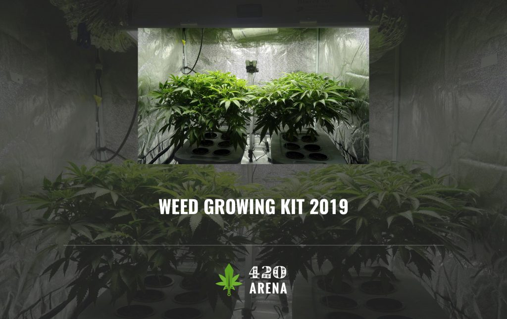 Top 10+ Best Weed Growing Kit of 2020 Reviews & Buyer's Guide