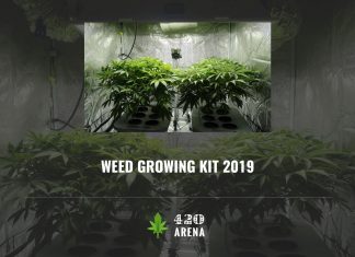 Best Weed Growing Kit