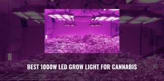 Best 1000w LED Grow Light for Cannabis