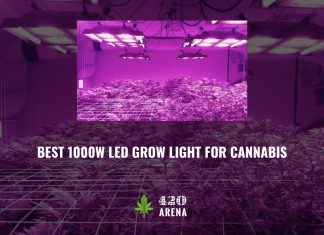Best 1000w LED Grow Light for Cannabis