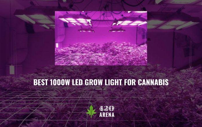 Best 1000w LED Grow Light for Cannabis