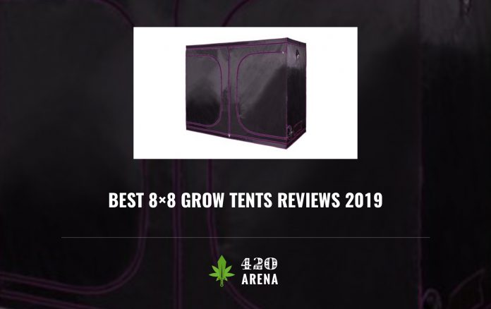 Best 8×8 Grow Tents Reviews 2019