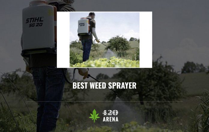 Best Weed Sprayer