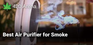 Best Air Purifier for Smoke