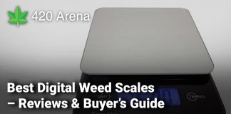 Best Digital Weed Scales – Reviews & Buyer’s Guide