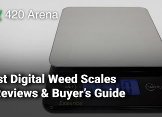 Best Digital Weed Scales – Reviews & Buyer’s Guide