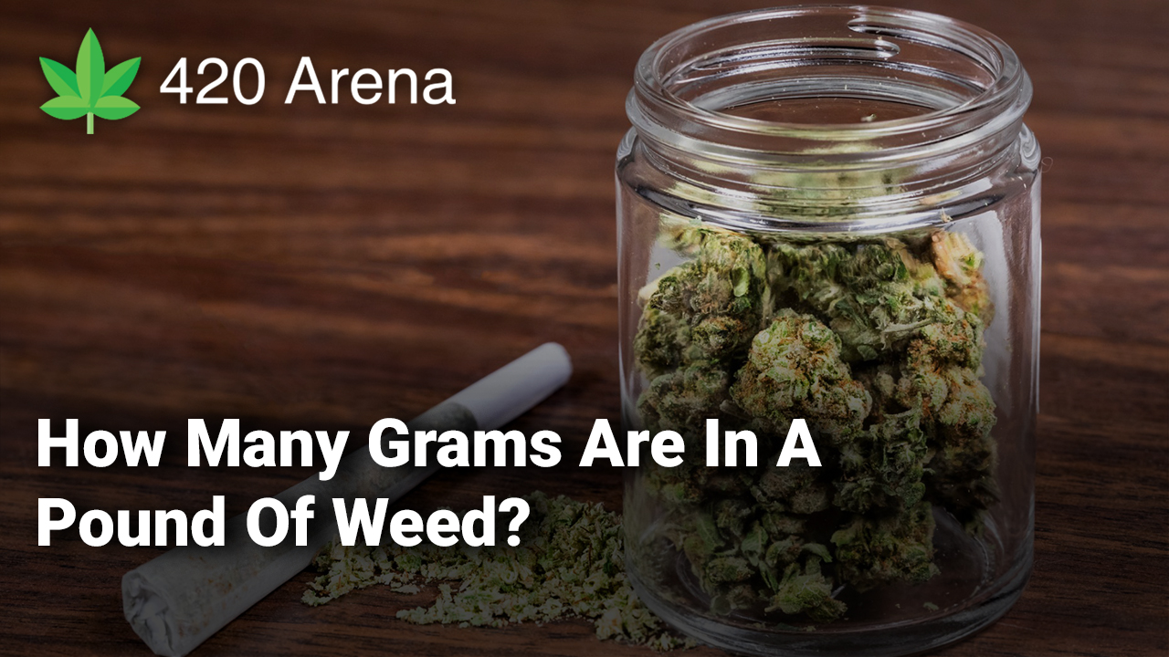 how-many-grams-are-in-a-pound-of-weed-420-arena