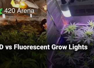 LED vs Fluorescent Grow Lights