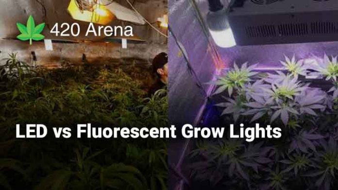 LED vs Fluorescent Grow Lights