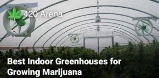 Best Indoor Greenhouses for Growing Marijuana