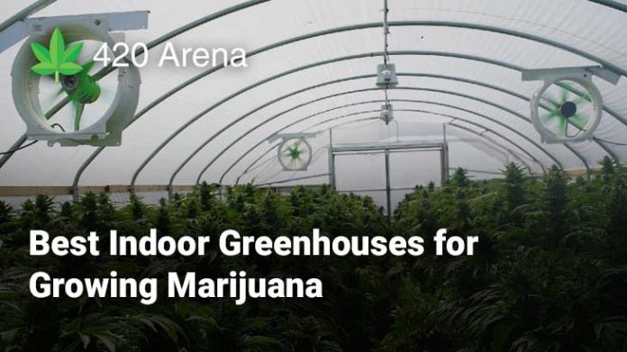 Best Indoor Greenhouses for Growing Marijuana