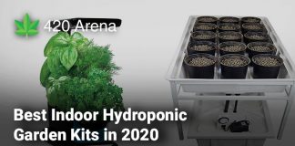 Best Indoor Hydroponic Garden Kits in 2020