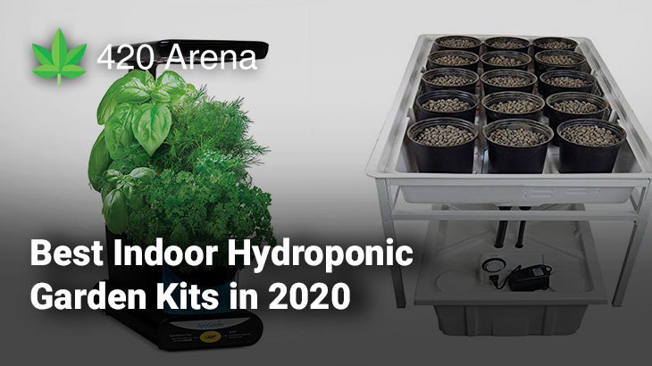 Best Indoor Hydroponic Garden Kits In 2020 Reviews