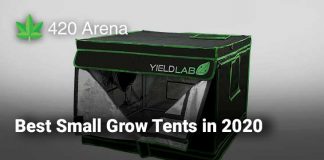 Best Small Grow Tents in 2020