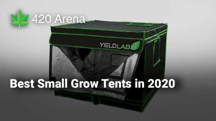 Best Small Grow Tents in 2020