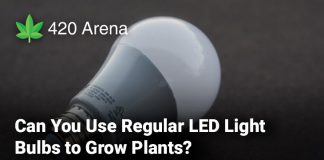 Can You Use Regular LED Light