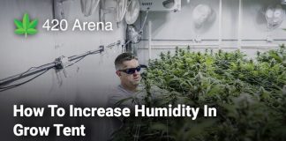 How To Increase Humidity In Grow Tent