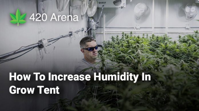 How To Increase Humidity In Grow Tent