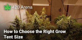 How to Choose the Right Grow Tent Size